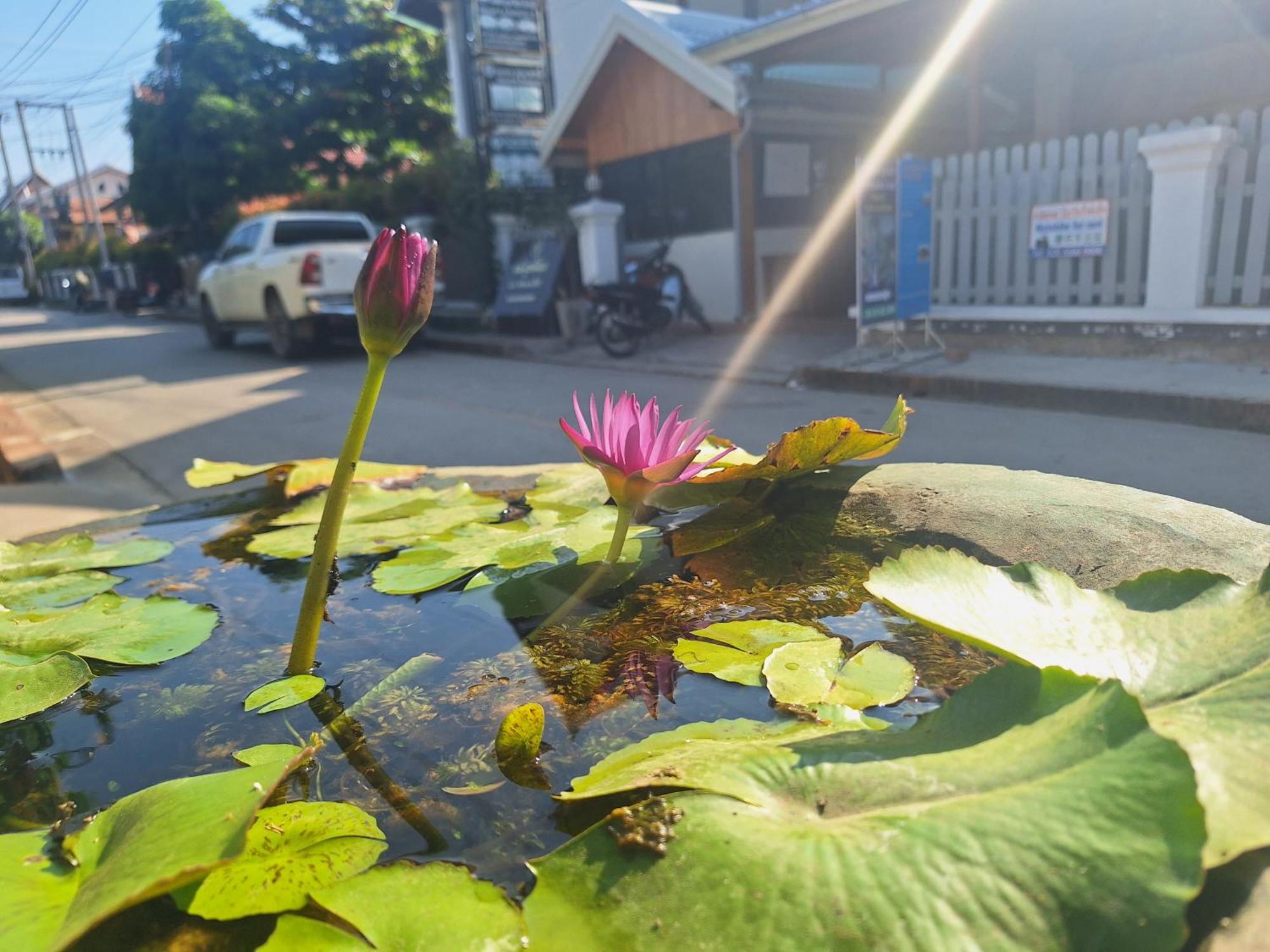 Villa Khounsok Sunset Luang Prabang Exteriör bild